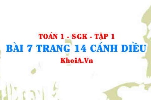 Bài 7 trang 14 Toán 12 tập 1 Cánh Diều